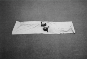Two people lie on the floor head to head. They are in a large white homemade sleeping bad.